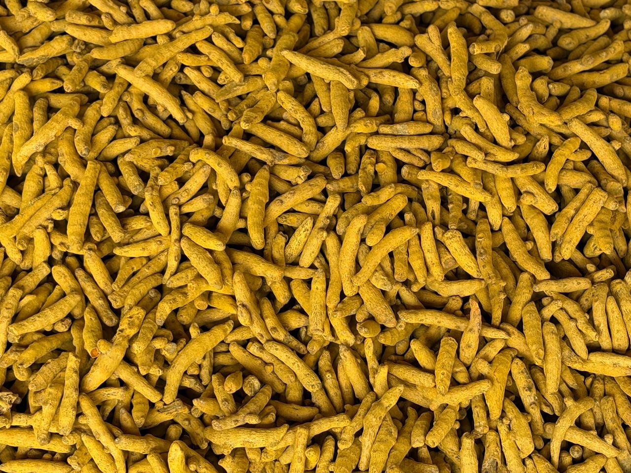 Turmeric image 4